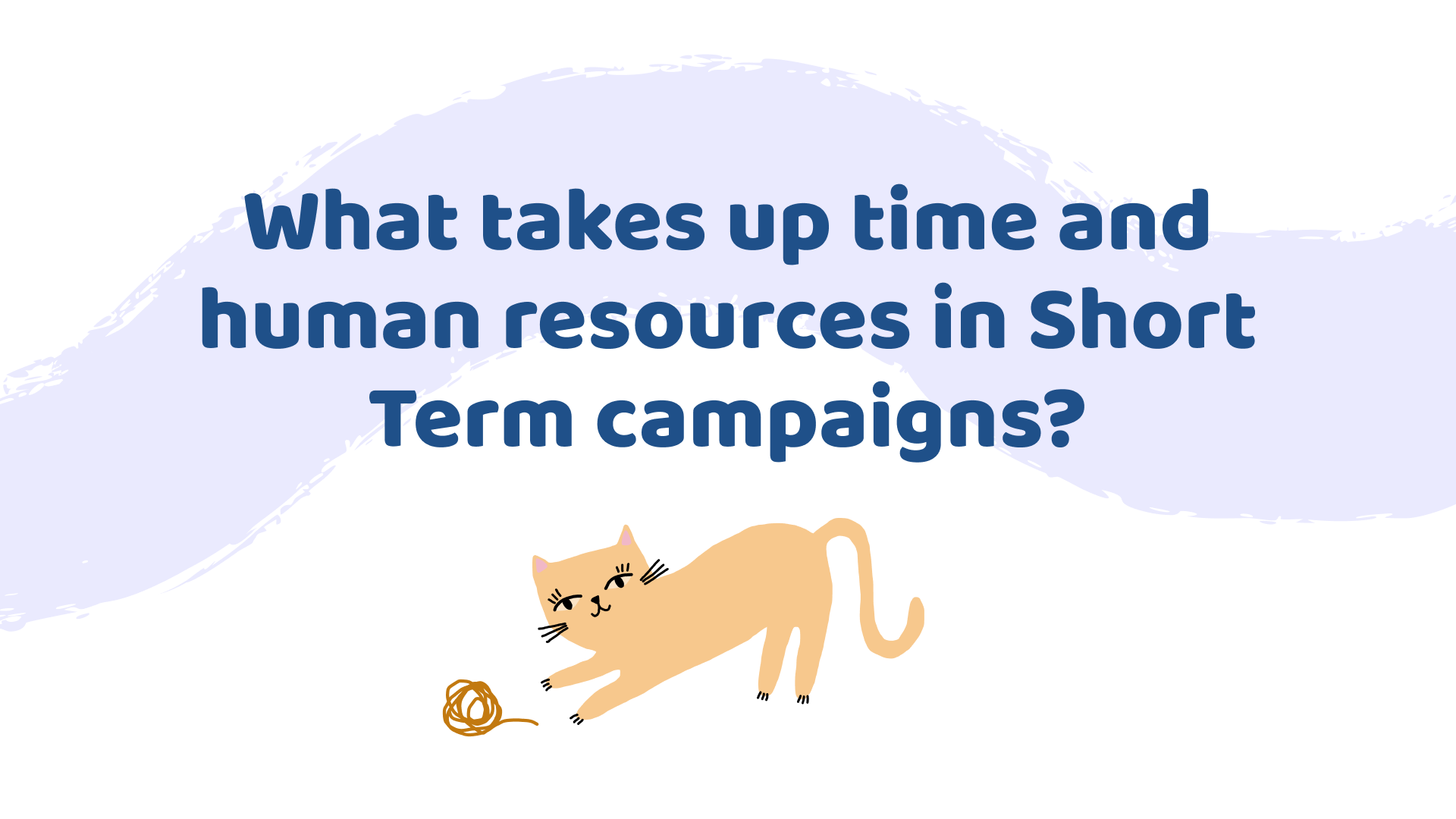 Presentation question slide with cat graphic